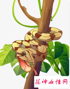 孕妇梦见蛇挂在树上是什么意思